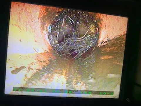 Trusted pipe repair for homes in San Marcos, CA by Inspection Detection Connection