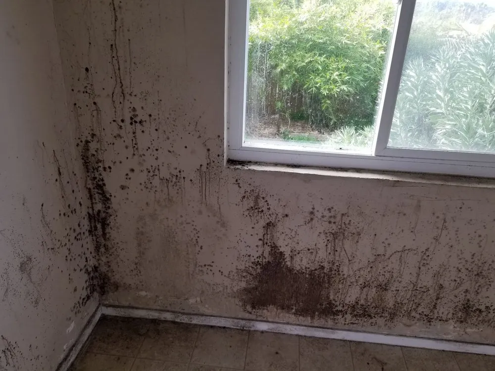Reliable drain cleaning service in San Marcos, CA - Inspection Detection Connection