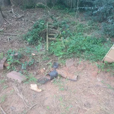 Inspector Drain Logo