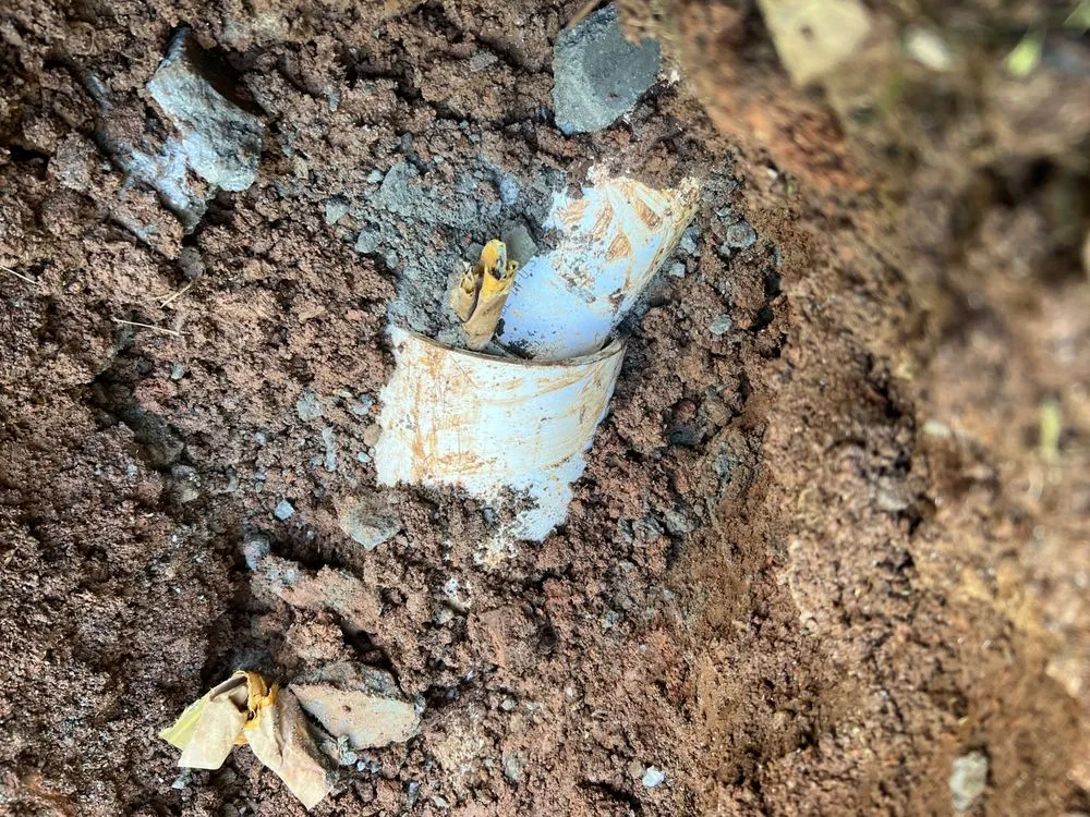 Slide of Inspector Rooter