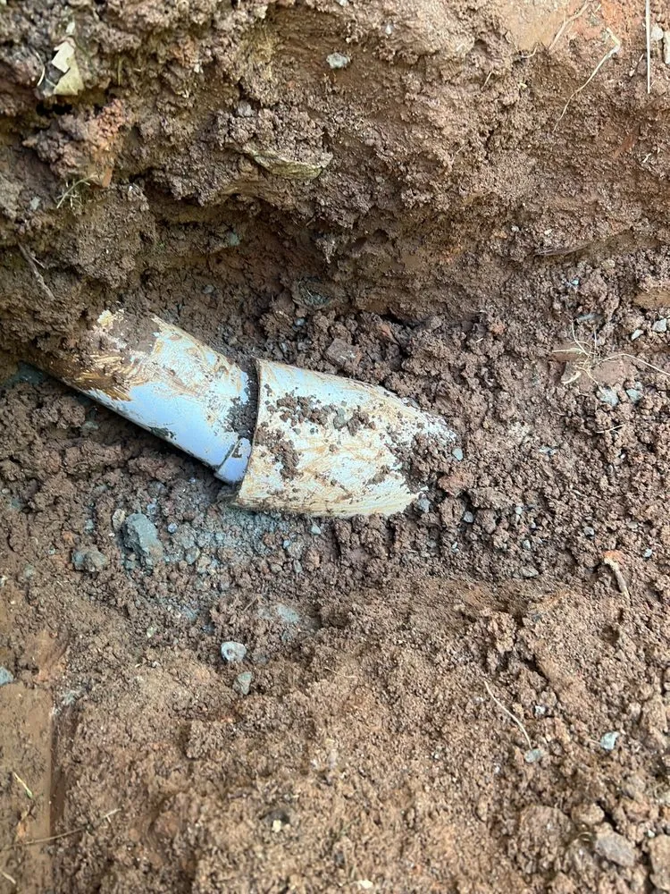 Slide of Inspector Rooter