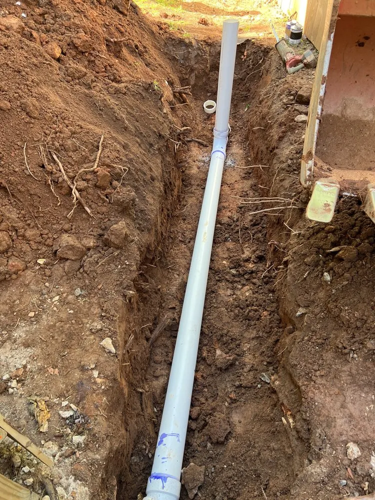 Slide of Inspector Rooter