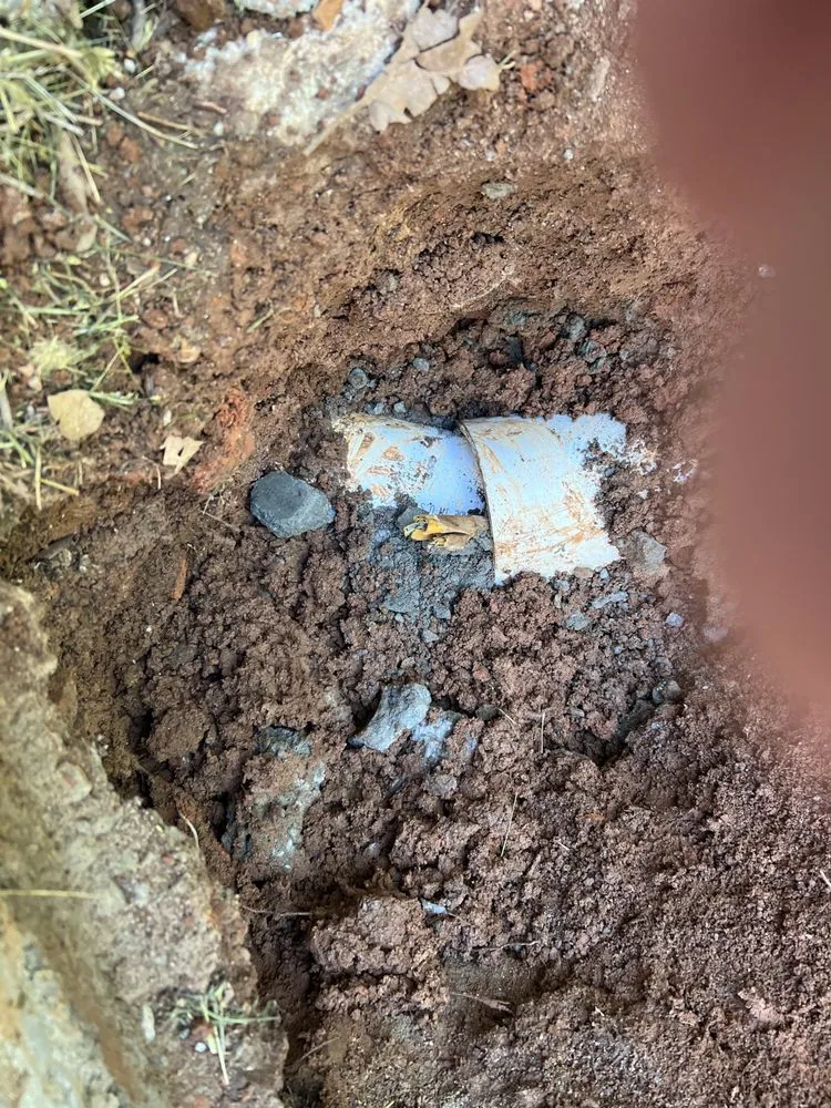 Slide of Inspector Rooter