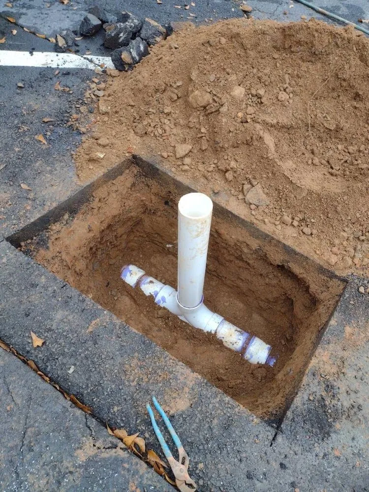 Slide of Inspector Rooter