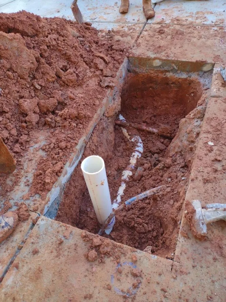 Slide of Inspector Rooter