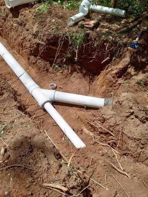 Slide of Inspector Rooter