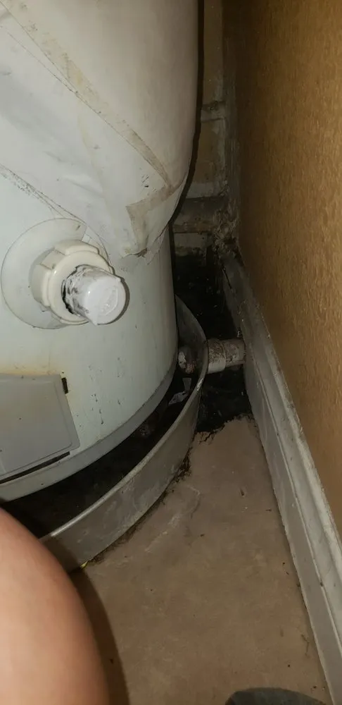 Slide of Instant Plumbing Repair & Rooter