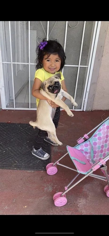 Slide of Instant Plumbing Repairs