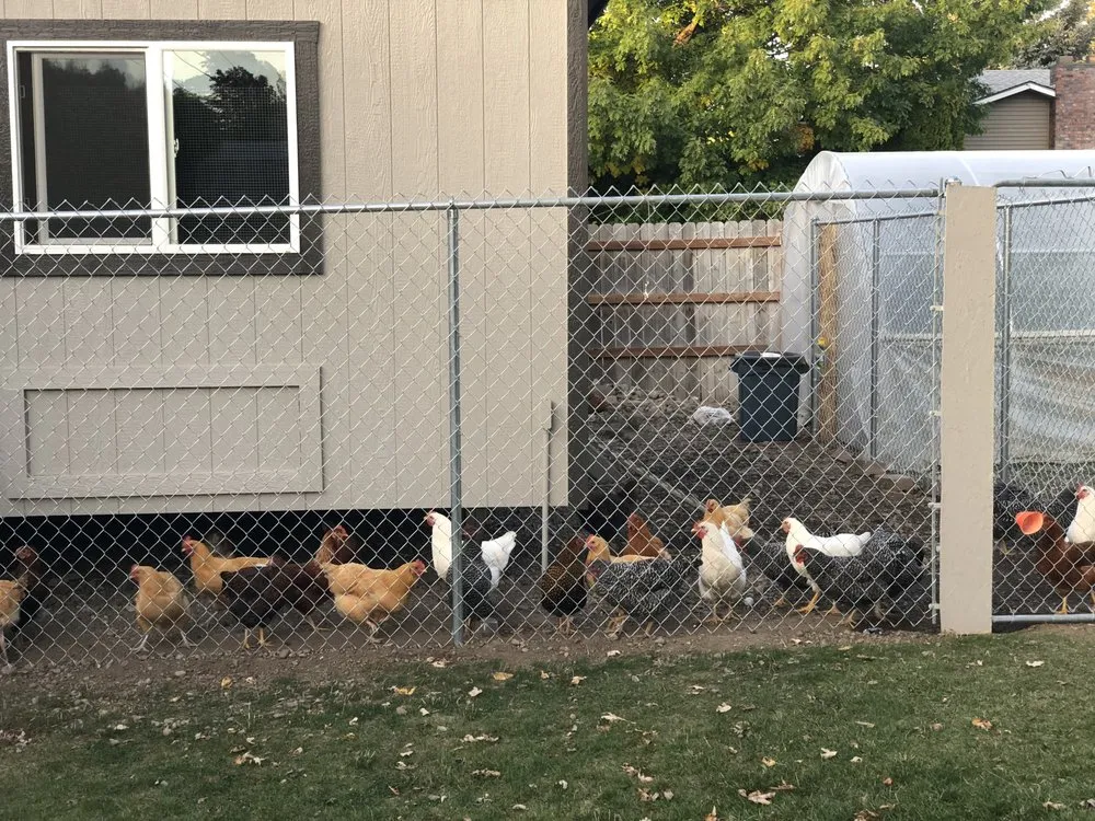 Slide of Integrall Systems