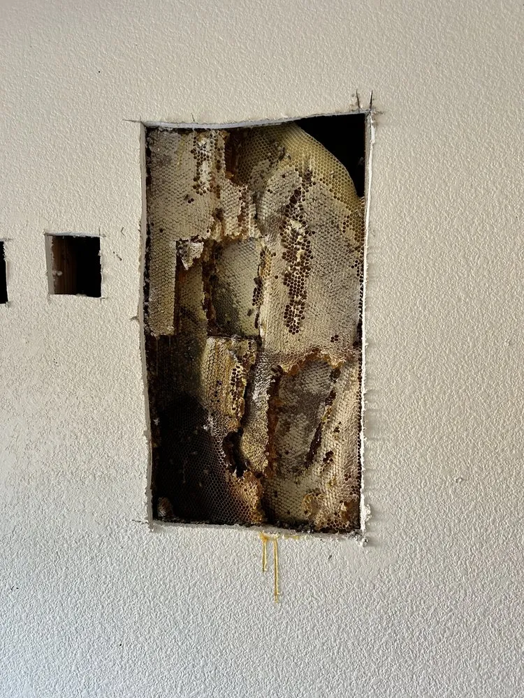 Slide of Integrity Construction And More