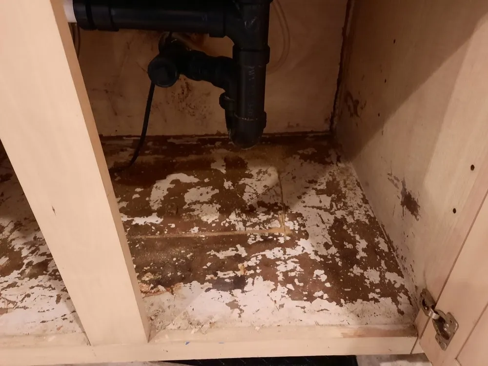 Slide of Integrity Plumbing & Services