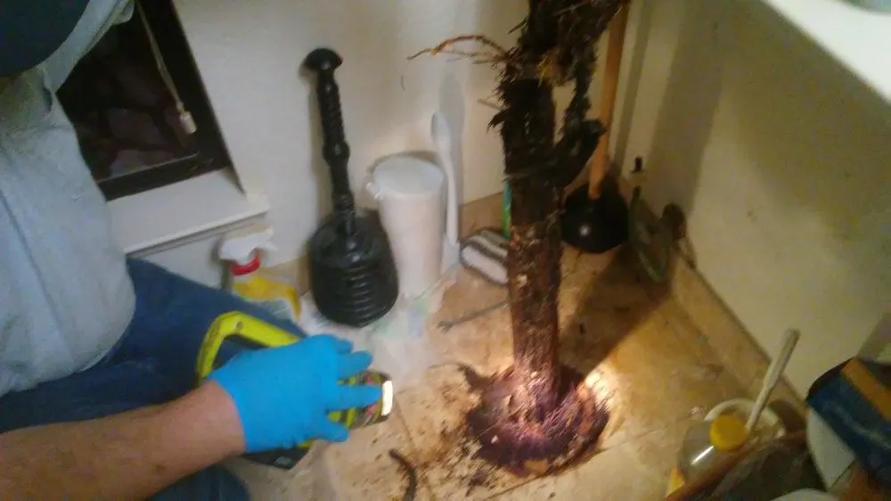 Slide of Integrity Plumbing