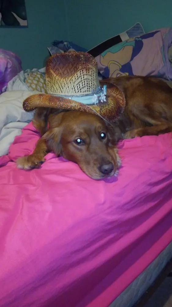 Slide of Integrity Plumbing Heating & Cooling