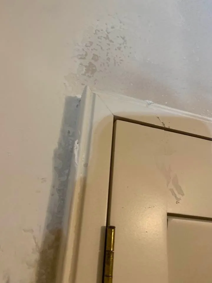 Slide of Integrity Repipe