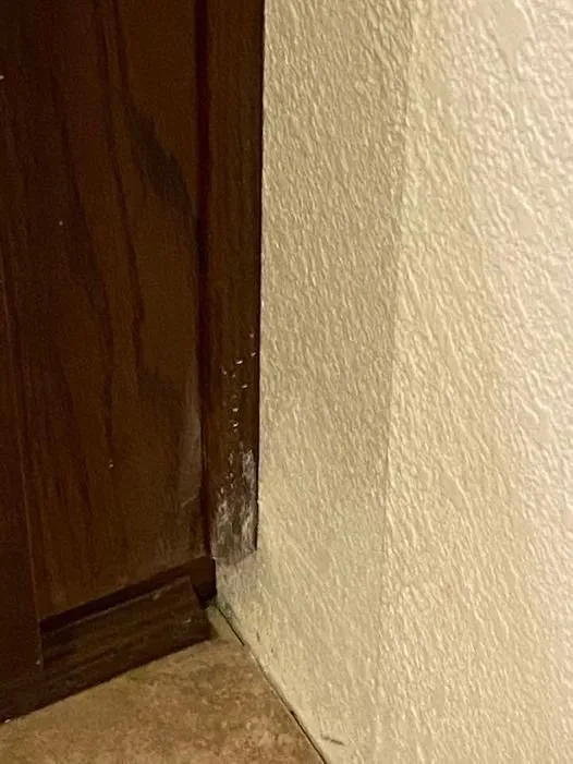 Slide of Integrity Repipe