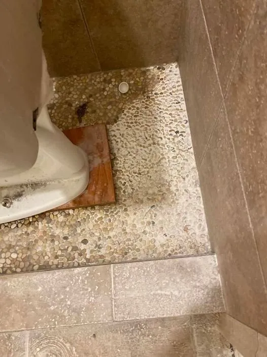 Slide of Integrity Repipe