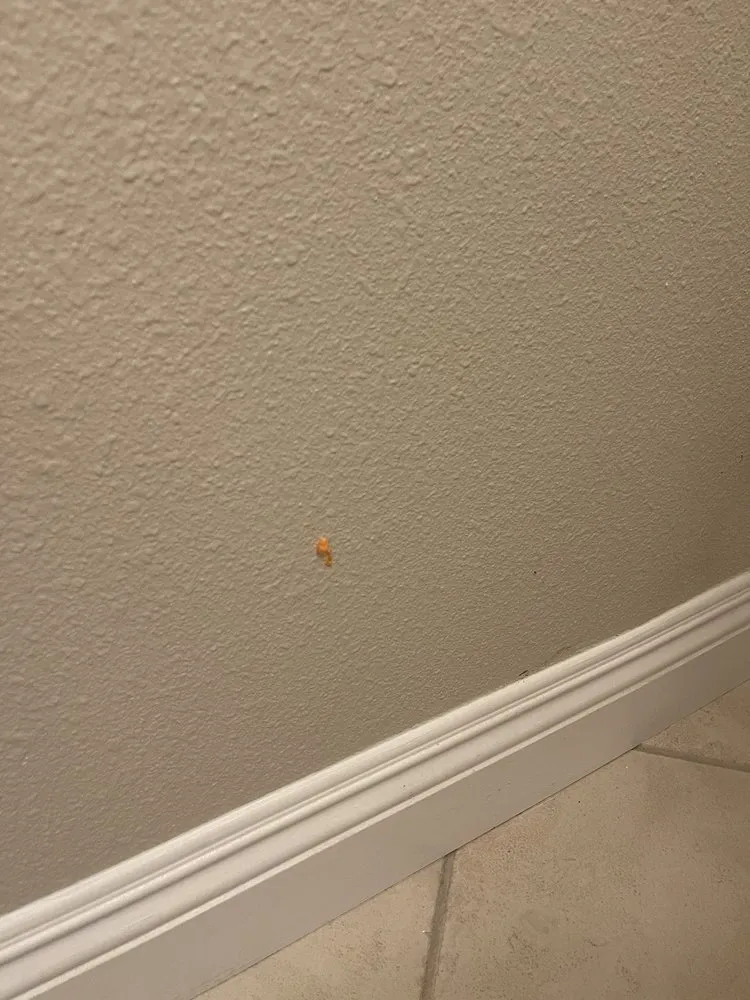 Slide of Integrity Repipe