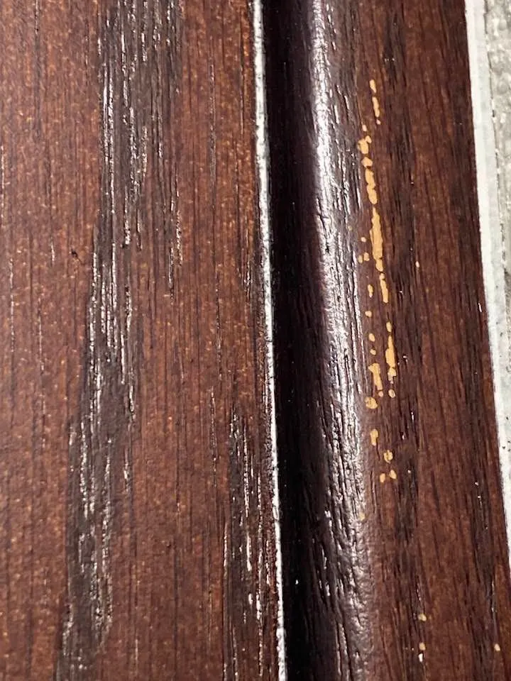 Slide of Integrity Repipe