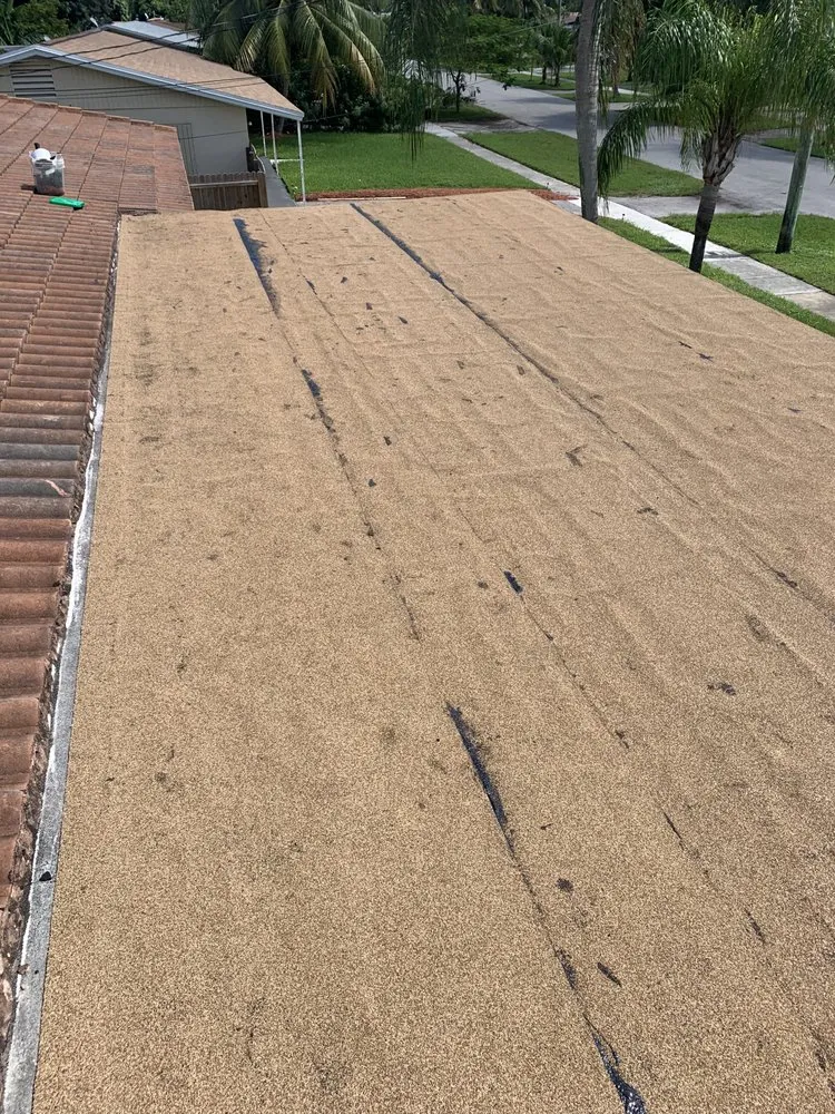 Top-rated drain cleaning for homes in Lighthouse Point, FL by Irestinhim Enterprise