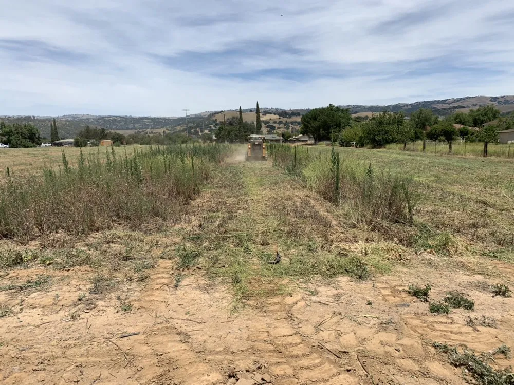Slide of Irish Excavation