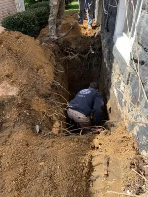 Iron Dog Plumbing Logo