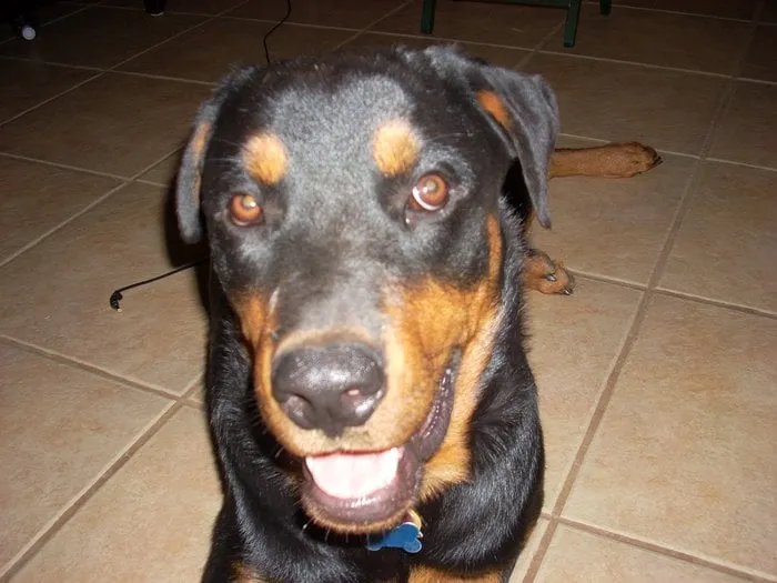 Slide of Ironman Plumbing Services Co