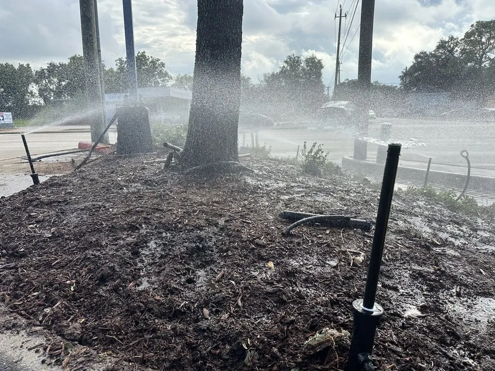 Slide of Irrigation For All Green