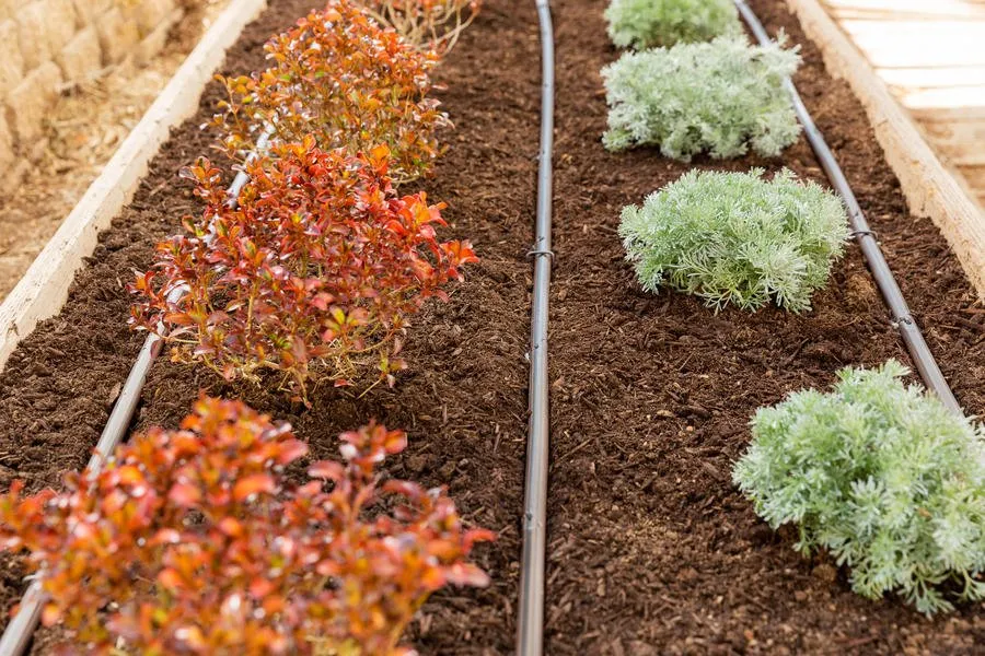 Slide of Irrigation Solutions