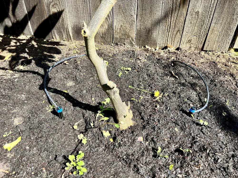 Slide of Irritech Sprinkler Repair