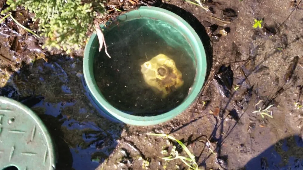 Slide of Irritech Sprinkler Repair