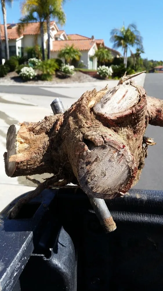 Quality plumbing repair experts serving Carlsbad, CA - Irritech Sprinkler Repair