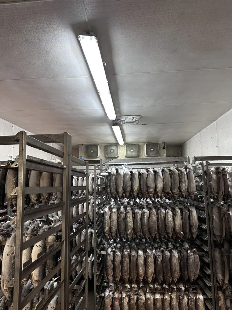 Emergency leak detection in Brooklyn, NY by Irwin Friedman & Son