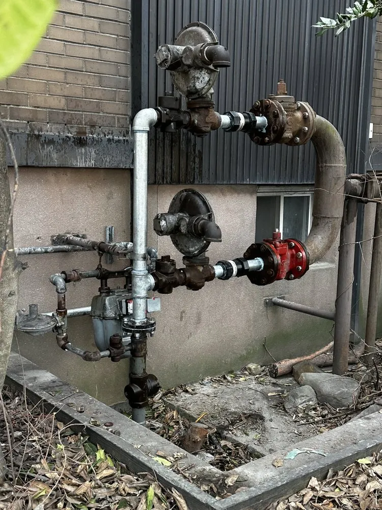 Slide of Irwin Friedman & Son