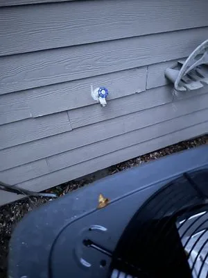 Irwin's Total Home Services Logo