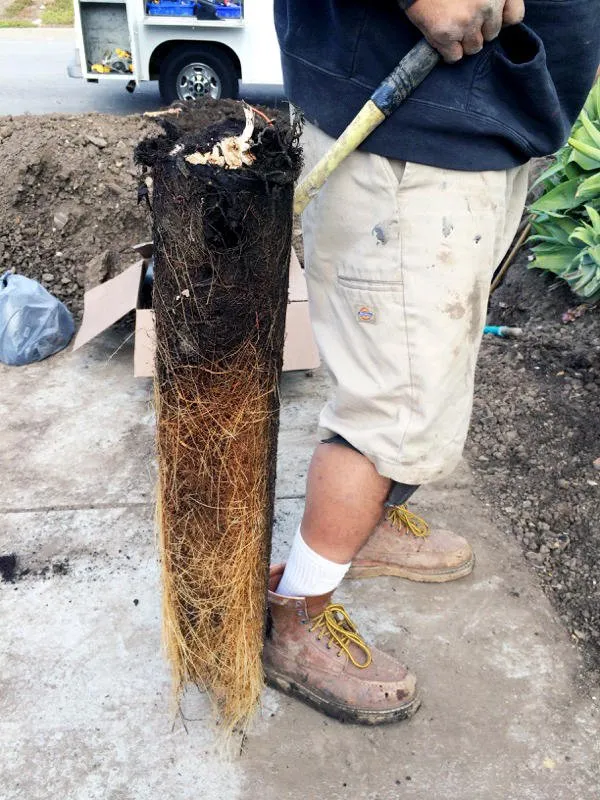 Slide of Isaac & Sons Plumbing Glendora