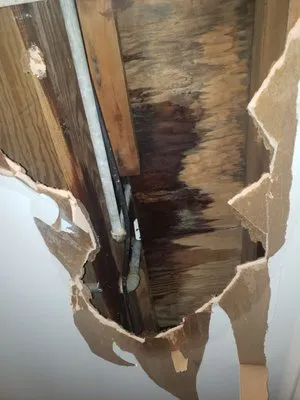 Island Mann Plumbing and Drain Cleaning Logo