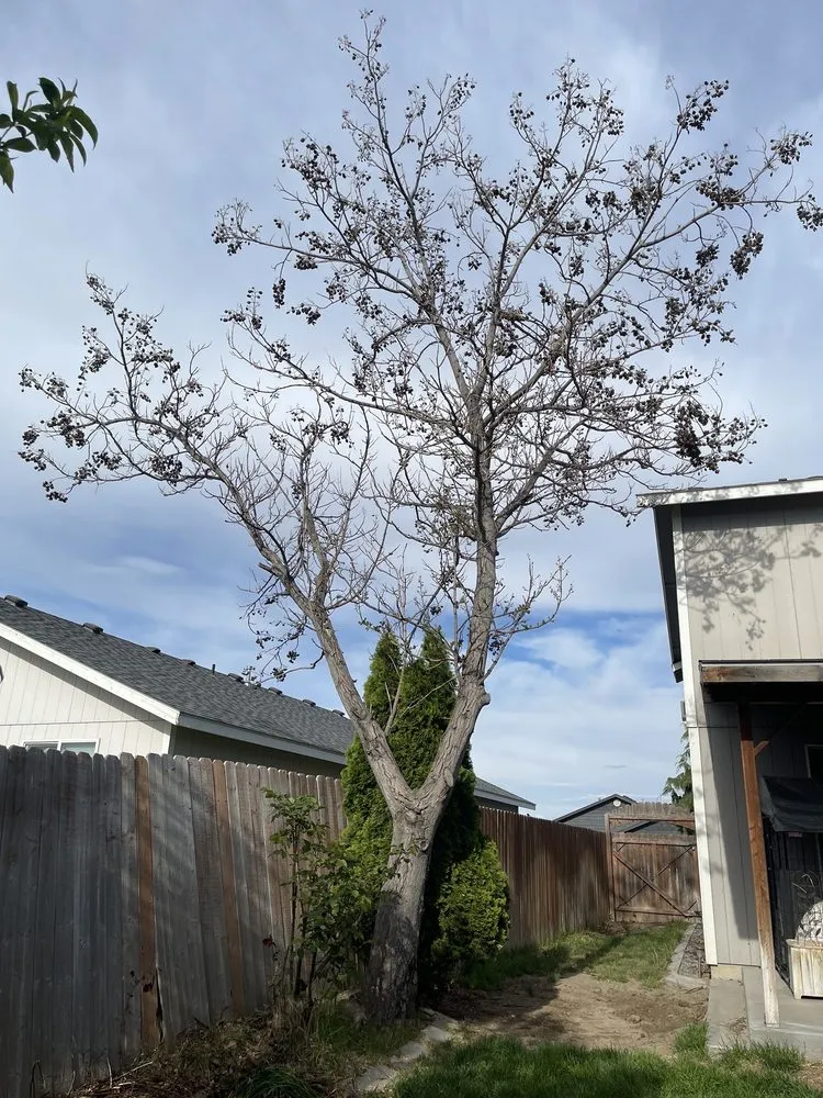 Slide of Israel's Handyman Services