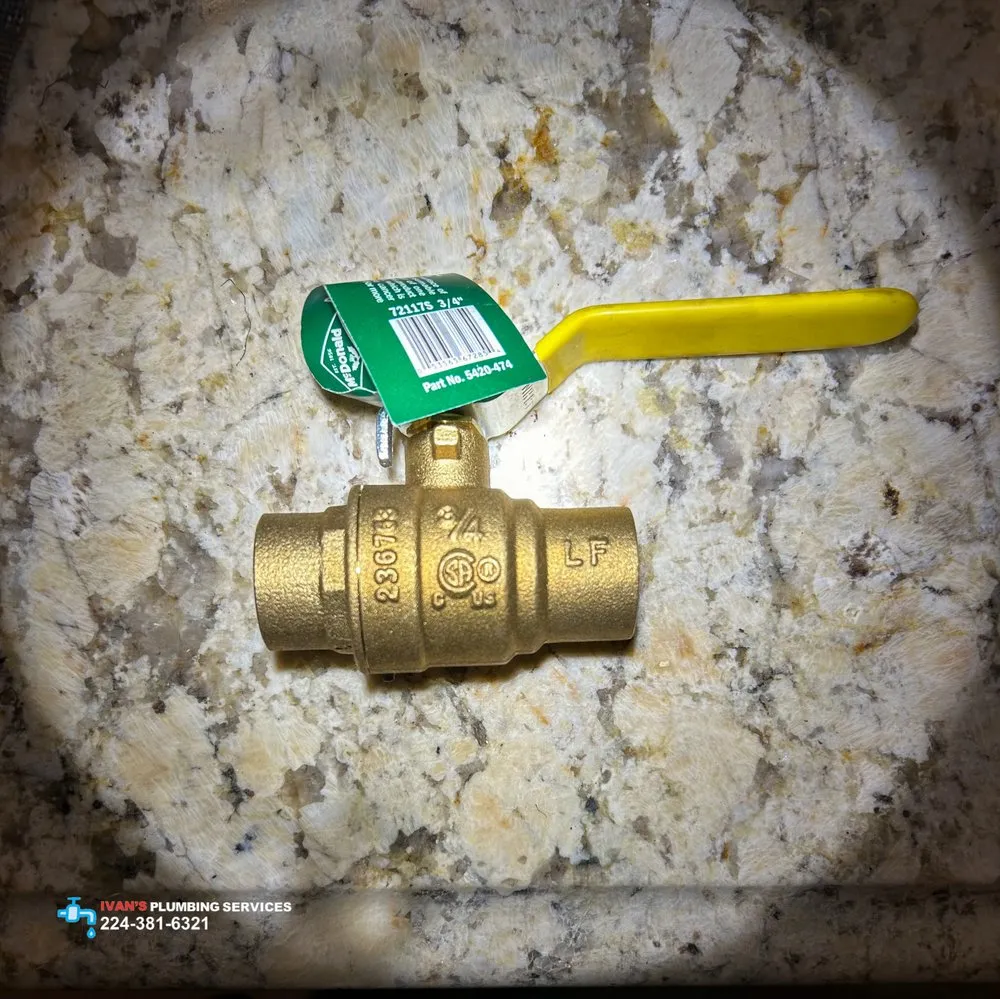 Top-rated water heater service experts serving Des Plaines, IL - Ivan's Plumbing Services