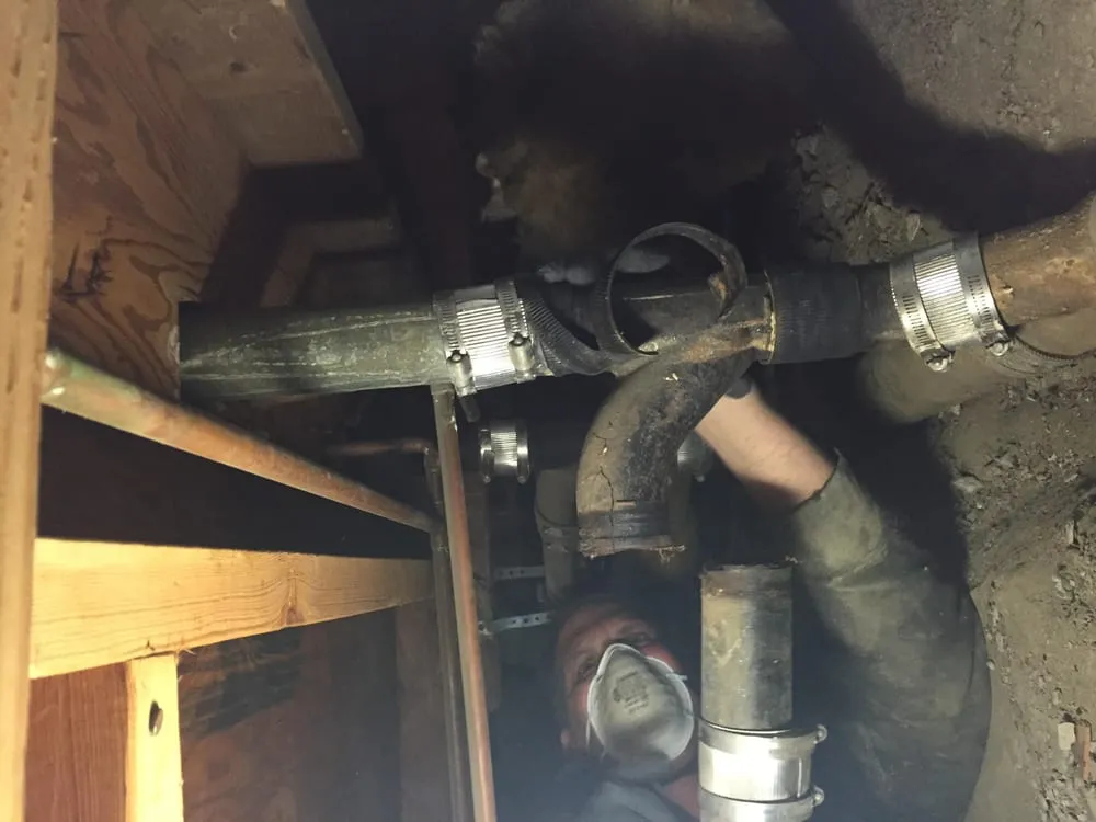 Slide of Ivey Plumbing