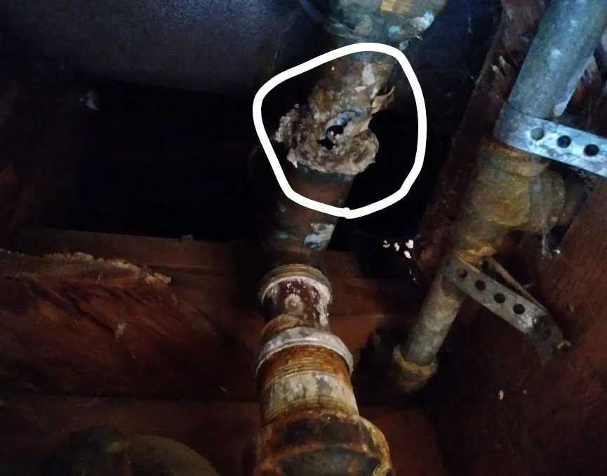 Slide of Izzy Plumbing