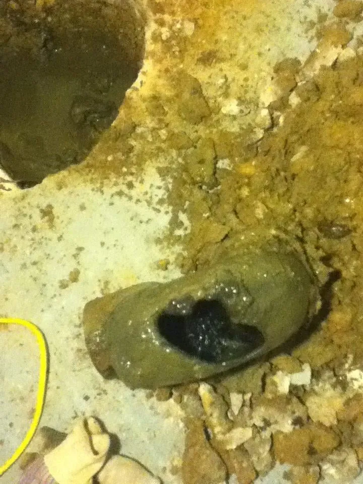 Expert drain cleaning in Grove City, OH by J A M Plumbing & Drains