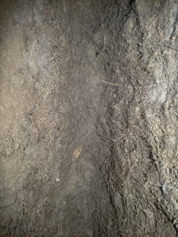 Slide of J and R Services