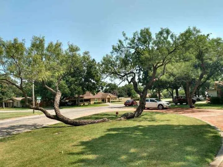 Slide of J and T Do All Services