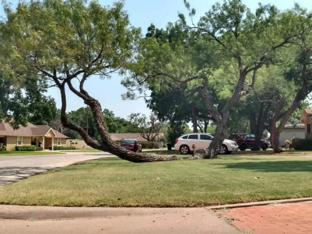 Slide of J and T Do All Services