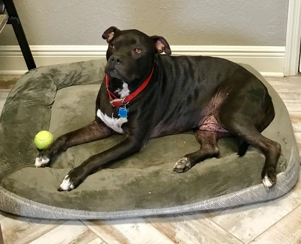 Slide of J C Little Plumbing