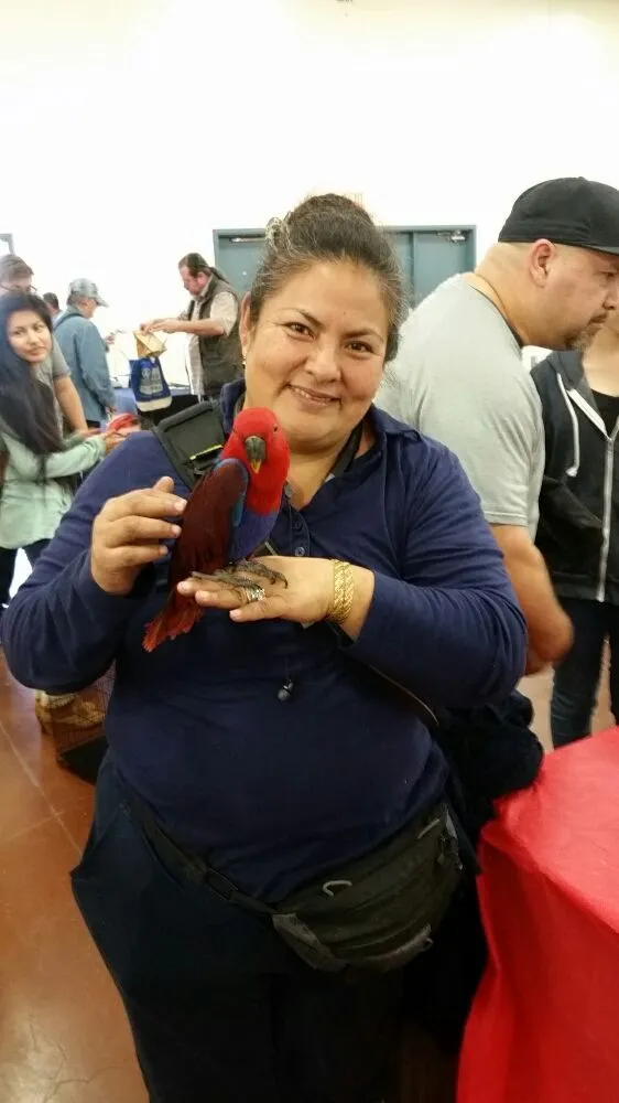 Slide of J Carrillo Plumbing and Drains