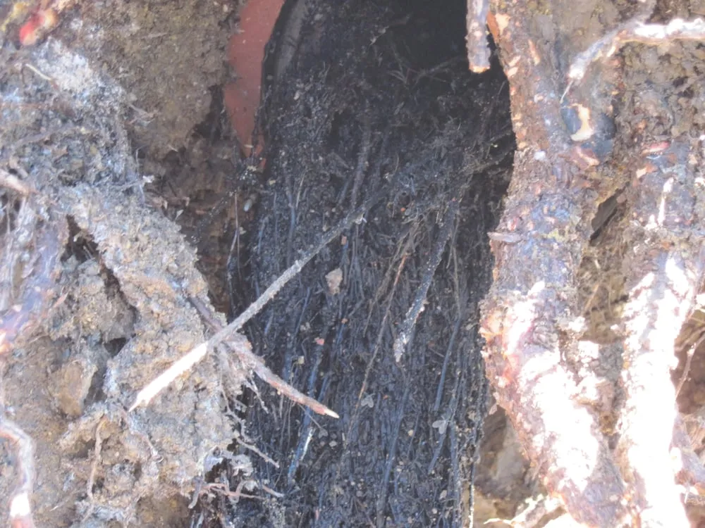 Slide of J Chase Plumbing & Drains