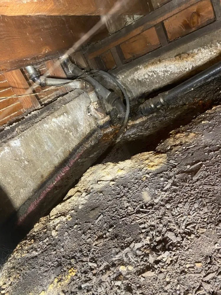 Affordable plumbing repair for homes in Berkeley, CA by J J Rooter & Plumbing