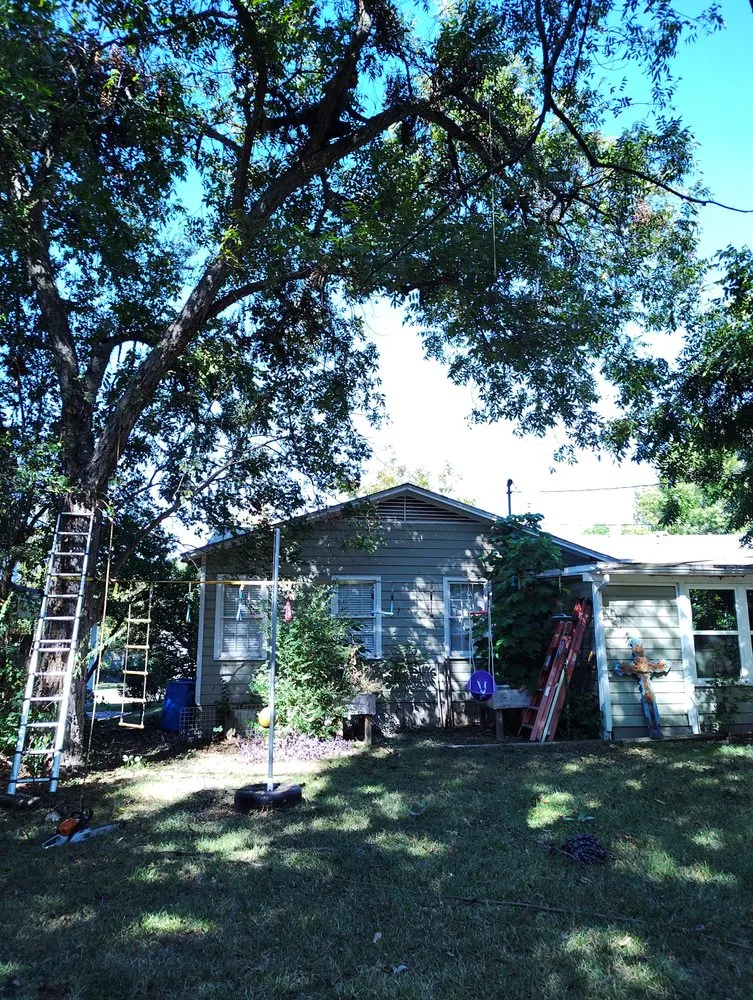 Slide of Jaciel Enriquez