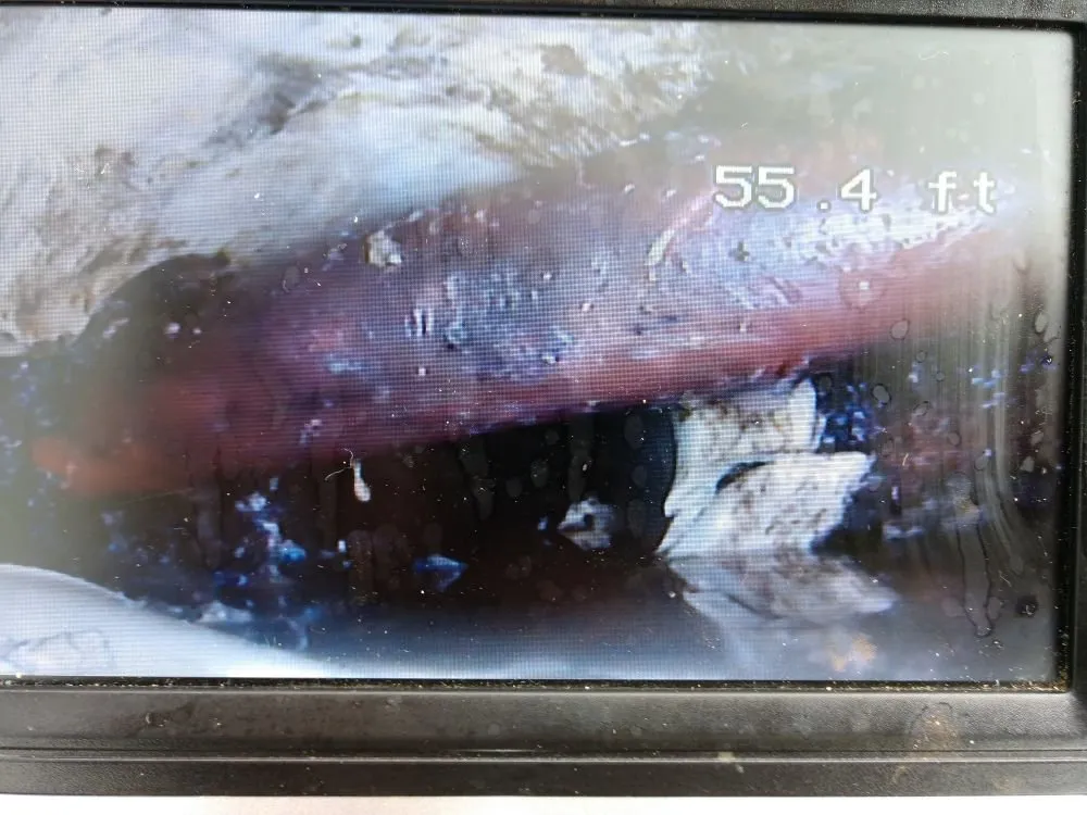 Slide of Jack Frost Drain Service